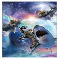 Џејмс Букер - Галакси Мачка Ајкули Ѕид Постер, 14.725 22.375 Врамени