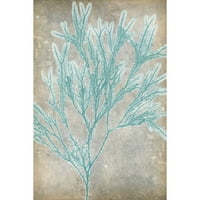 Мармонт Хил Спа алги I Сликање печати на завиткано платно