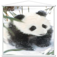 Животни-Панда Во Снежниот Ѕид Постер Со Дрвена Магнетна Рамка, 22.375 34