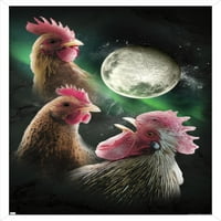Џејмс Букер-Постер За Ѕид Од Пилешка Месечина, 14.725 22.375 Врамени