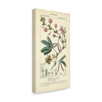 Студија за ликовна уметност во трговска марка „Ботаник Студија во Пинк IV“ платно уметност од Турпин