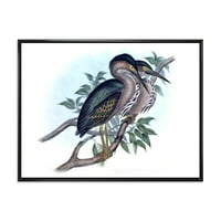 DesignArt 'Антички австралиски птици vii' Традиционално врамено платно wallидно печатење