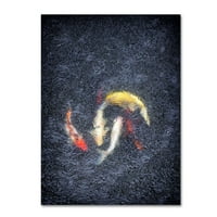Заштитена марка ликовна уметност „Коа со дожд“ платно уметност од feо Фелзман Фотографија