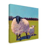 Трговска марка ликовна уметност „Овци III“ платно уметност од Керол Јанг