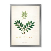 DesignArt 'Антички растителен живот xiv' Фарма куќа врамена уметничка печатење