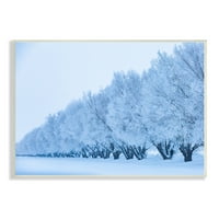 Ступел Индустрии Зимско Дрво Гроув Гранки Покриени Со Снег Фотографија Фотографија Необликувана Уметност Печатење Ѕидна Уметност,