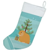 Богатства Каролина холандија Режа зајакот божиќ-чорапи, Разнобојни