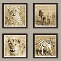 Бебе Африкански Сафари Животни Отпечатоци Слон Гепард Лав Зебра Фотографии Сепија Уметност; Четири Уметнички Отпечатоци од 12х12во