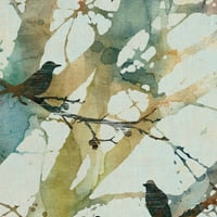 Уметничка галерија за ремек -дело Ботанички птици II од Керол Робинсон Канвас Уметнички печати 16 20