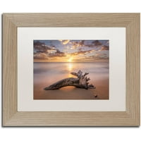 Трговска марка ликовна уметност „плажа дрво изгрејсонце“ уметност од Пјер Леклерк, Бела мат, рамка за бреза
