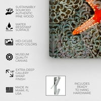 Студио Винвуд Студио Наутичко и крајбрежно wallидно уметноста на платното „ѓердан“ од „Морски живот“ од Дејвид Флитам - портокалово,