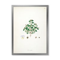 Дизајн на „Антички растителен живот XIII“ Фарма куќа врамена уметничка печатење