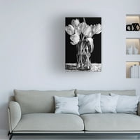 Сандра Вилард „Девет лалиња“ уметност