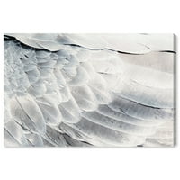 Wynwood Studio Canvas Dove Back Animal Birds Wall Art Canvas Print Grey Silver 36x24