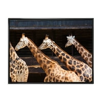 Дизајн на „Портрет на три жирафи“ кои работат „Фарма куќа врамена платно за печатење на wallидови од платно