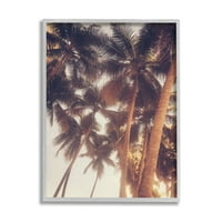 Студените интринти изветвени палми на сонцето на изветлување на гроздобер летно небо, 30, дизајн од Акоста