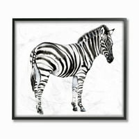 Stuple Industries zebra што стои црно -бело животно акварел сликарство врамена wallидна уметност од ennенифер Голдбергер