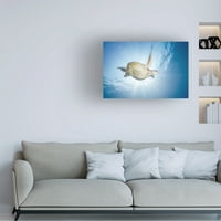 Баратие Габриел „морска желка зелена желка“ уметност