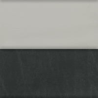 КАРОЛИНИ Богатства ASA2167DS Џек Расел Териери Ѕид Или Врата Виси Отпечатоци, 12x16, разнобојни